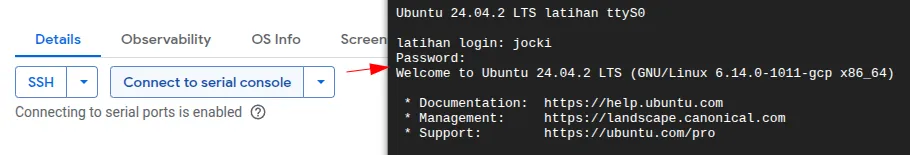 Login melalui serial console